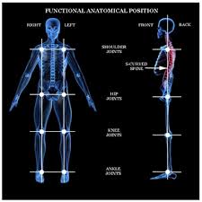 joint alignment